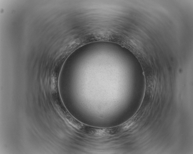 X0000087390130200704271632