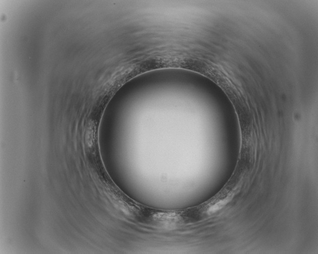 X0000087390133200704271632