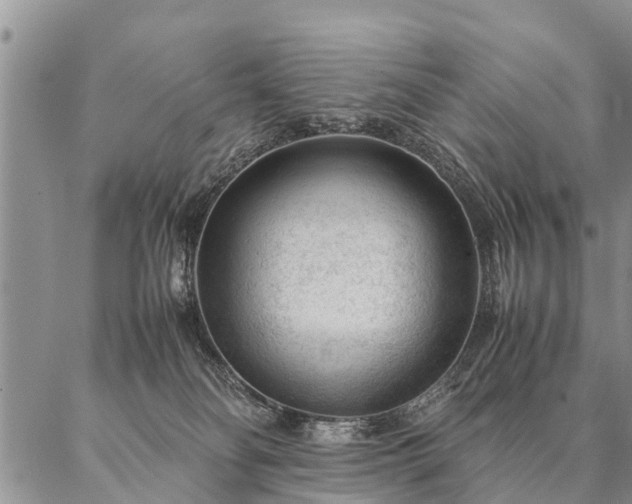 X0000087390134200704271632