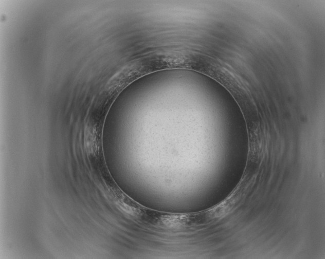 X0000087390136200704271631