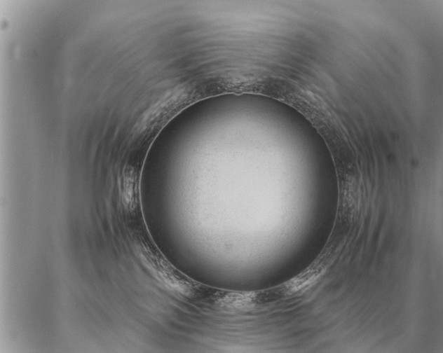 X0000087390138200704271631