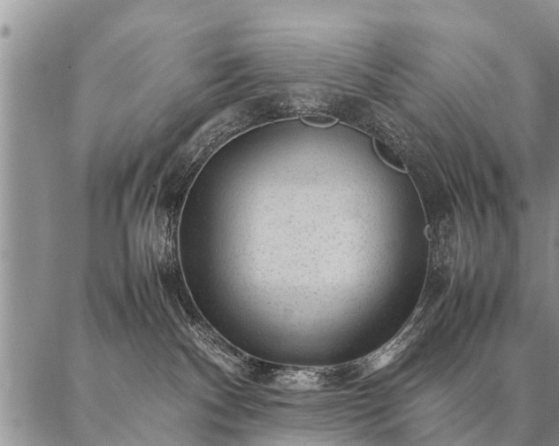 X0000087390140200704271631