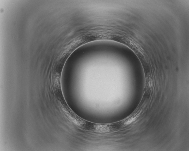 X0000087390141200704271631