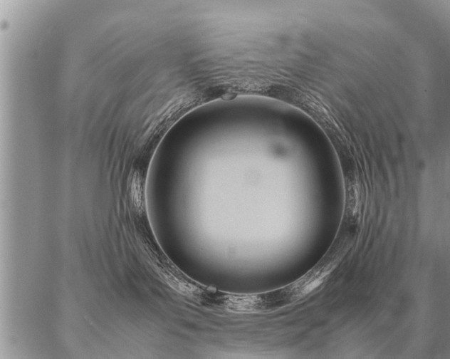 X0000087390143200704271631