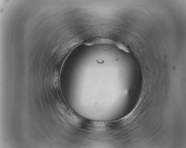 X0000087390144200704271631