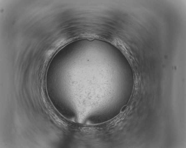 X0000087390145200704271631