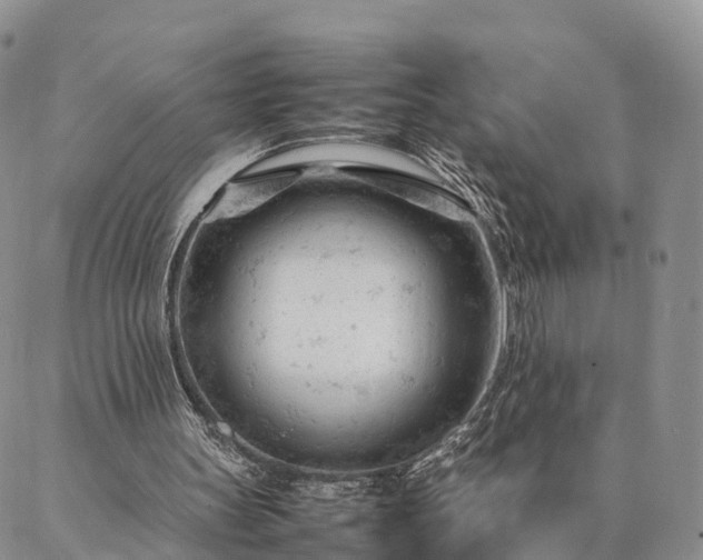 X0000087390147200704271631