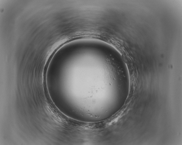 X0000087390148200704271631