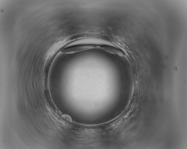 X0000087390149200704271631