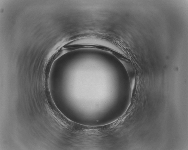 X0000087390150200704271631