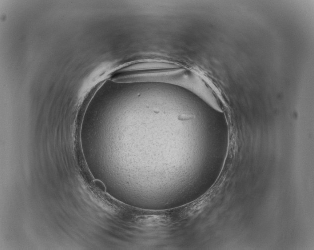 X0000087390151200704271631