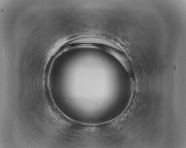 X0000087390152200704271631