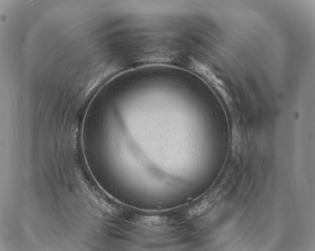 X0000087390153200704271631