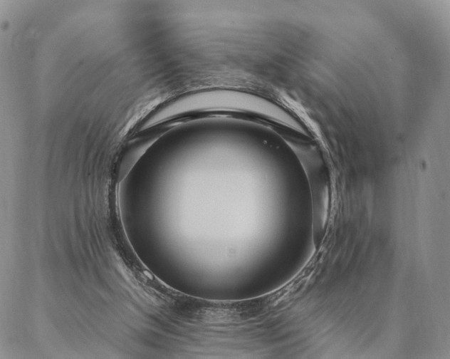 X0000087390154200704271631