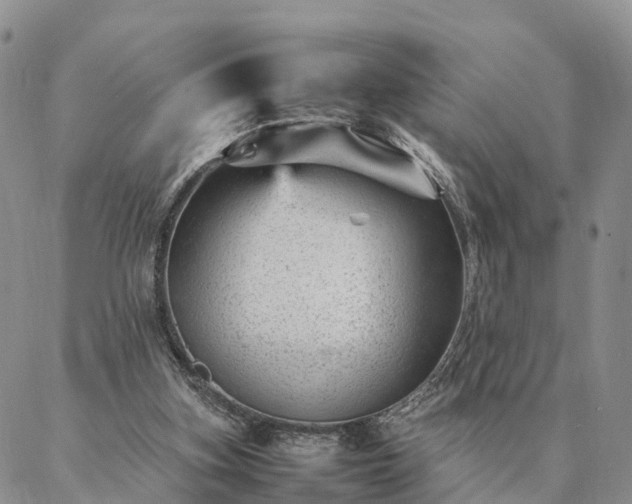 X0000087390155200704271631