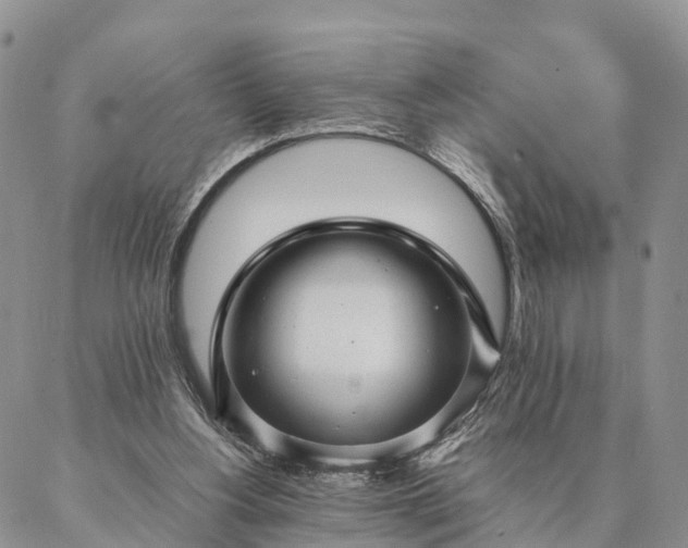 X0000087390156200704271631