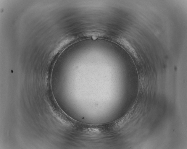 X0000087390159200704271631