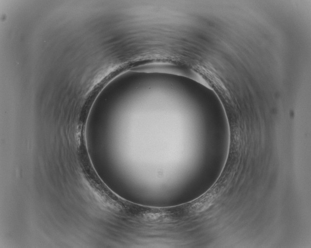 X0000087390160200704271631