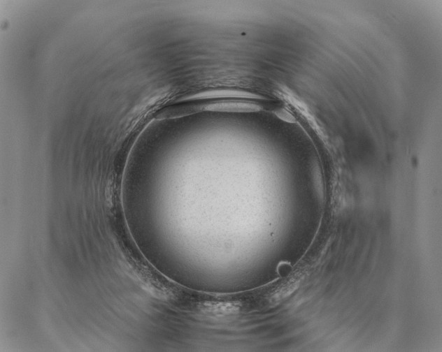 X0000087390161200704271631