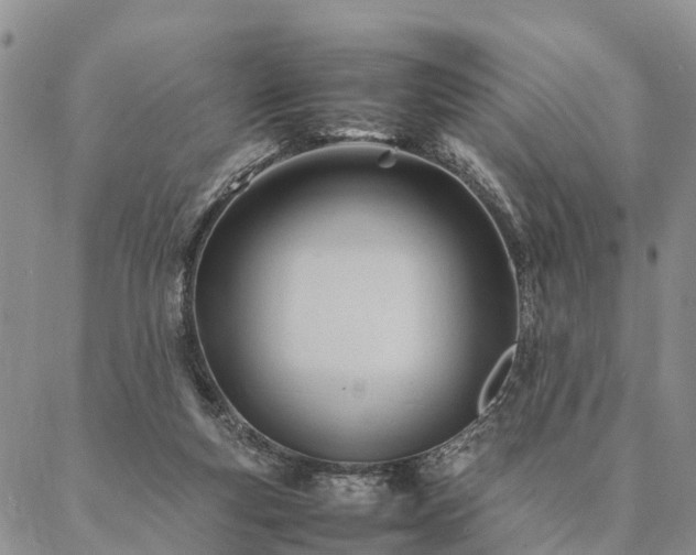 X0000087390163200704271631