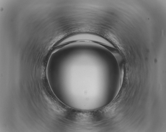 X0000087390164200704271631