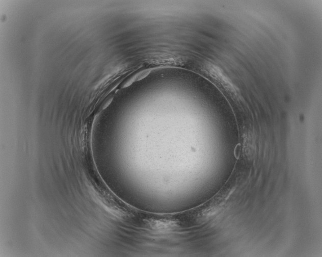 X0000087390165200704271631