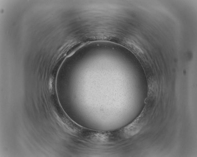 X0000087390166200704271631