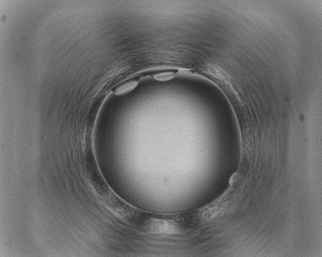 X0000087390167200704271631