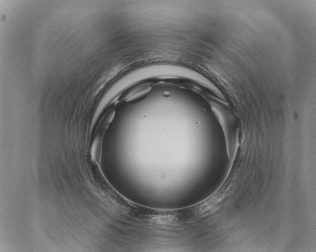 X0000087390168200704271631