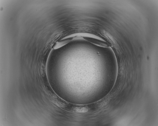 X0000087390169200704271631