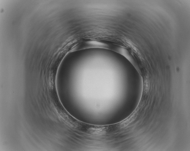 X0000087390170200704271631