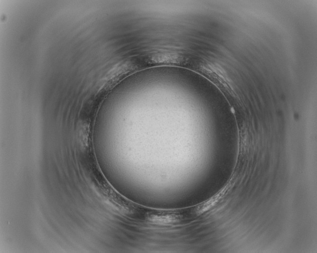 X0000087390171200704271631