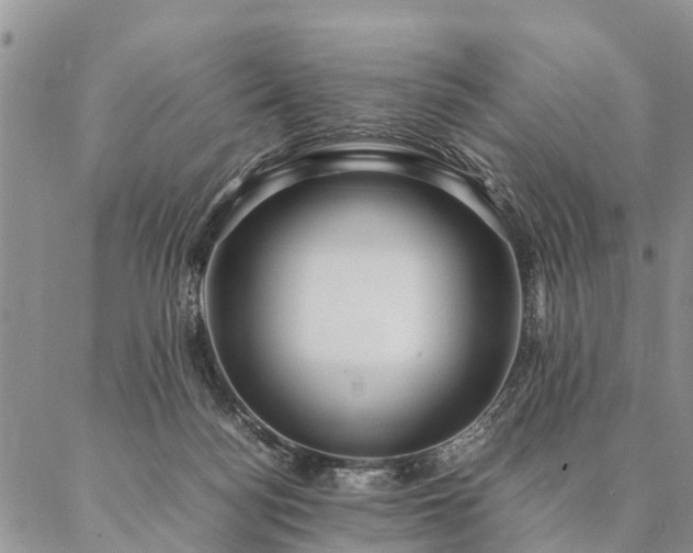 X0000087390172200704271631