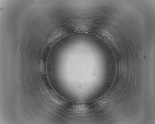 X0000087390173200704271631