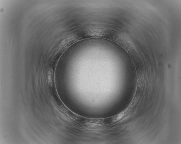 X0000087390175200704271631