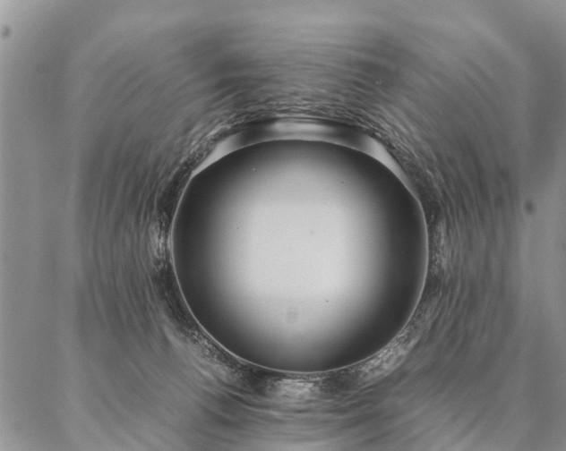 X0000087390176200704271631