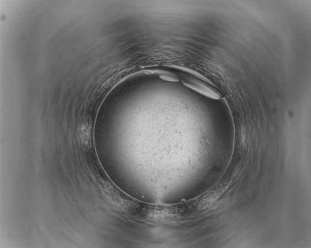 X0000087390177200704271631