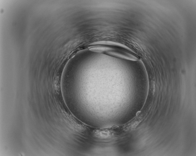 X0000087390181200704271631