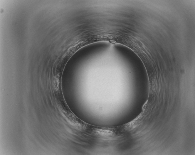 X0000087390183200704271631