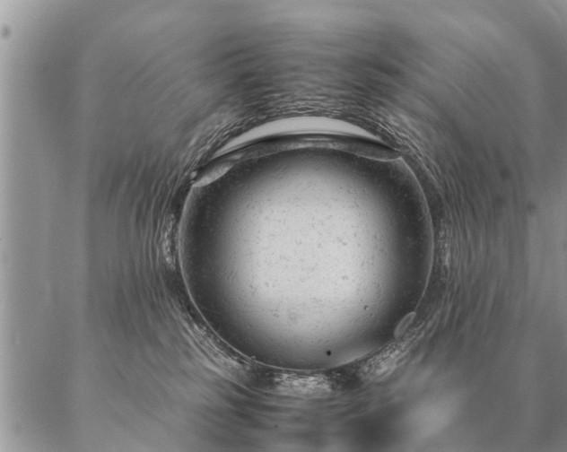 X0000087390185200704271631