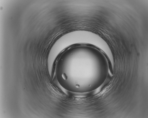 X0000087390188200704271631