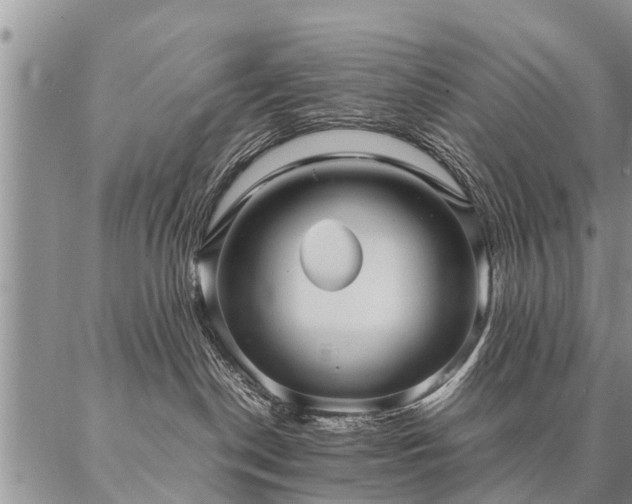 X0000087390190200704271631