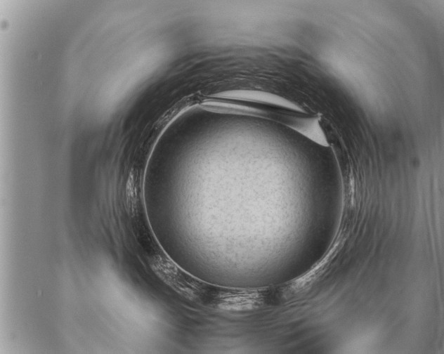 X0000087390191200704271631