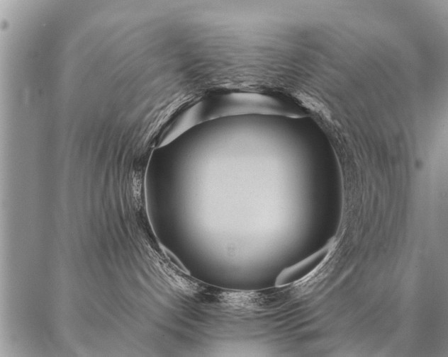 X0000087390192200704271631