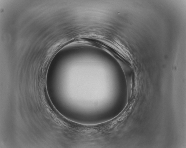 X0000087390193200704271631