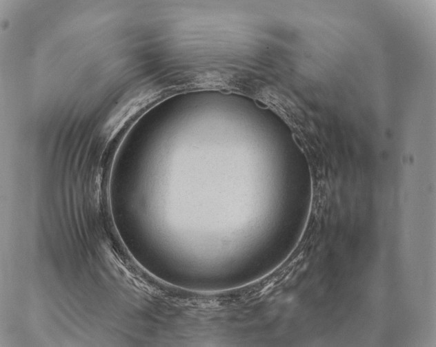 X0000087390194200704271631