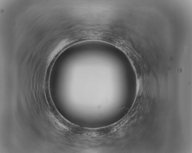 X0000087390195200704271631