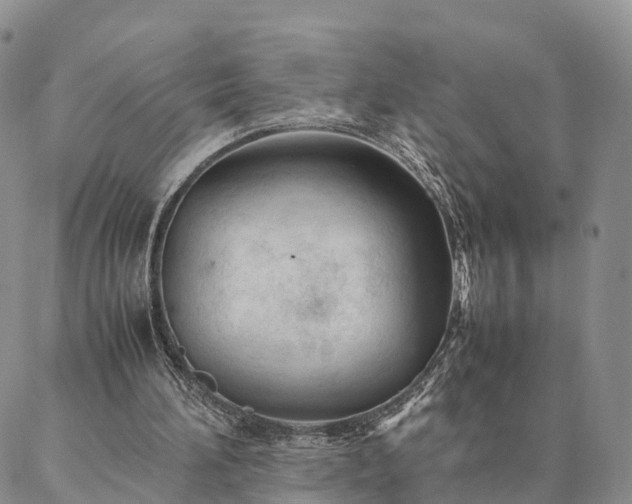 X0000087390196200704271631