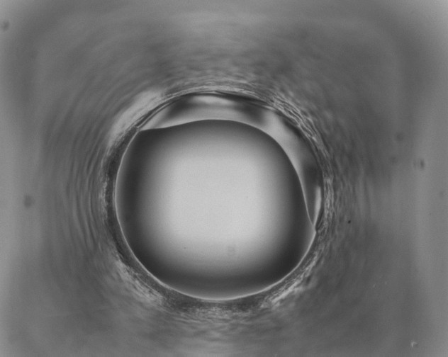 X0000087390197200704271631