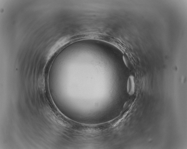 X0000087390198200704271630